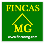 FINCAS MG - fincasmg.com